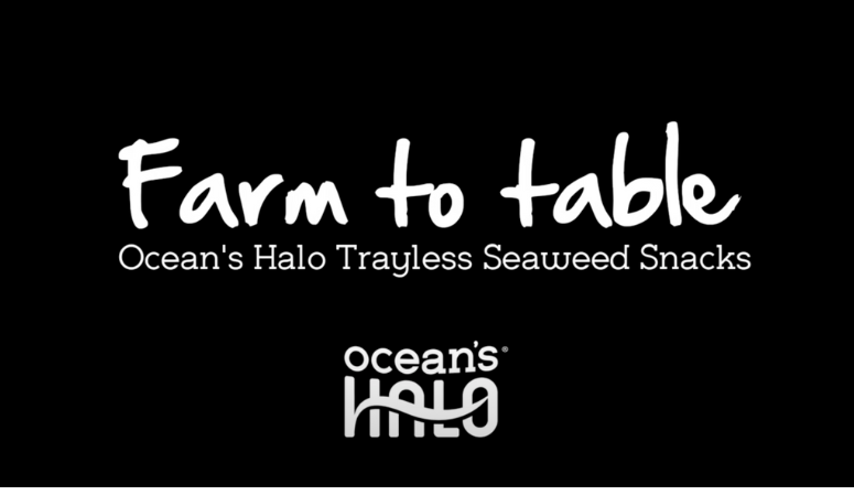 Ocean Halo Seaweed 12ct Bundle